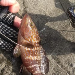 海釣り~ファイナル