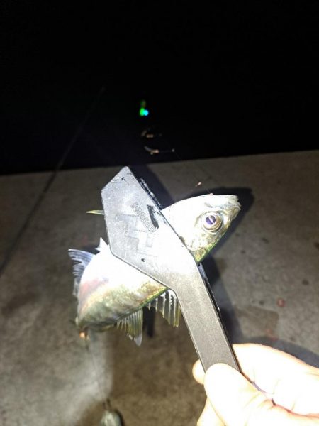 夜明け迄の勝負!