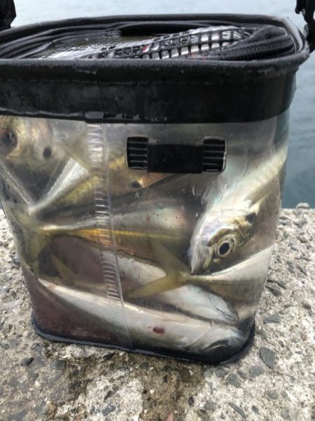 年末になんとか尺超え