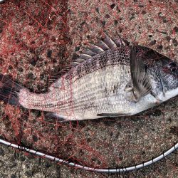 イチノ兄弟、釣果!