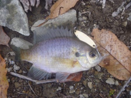 もぞもぞアタリ