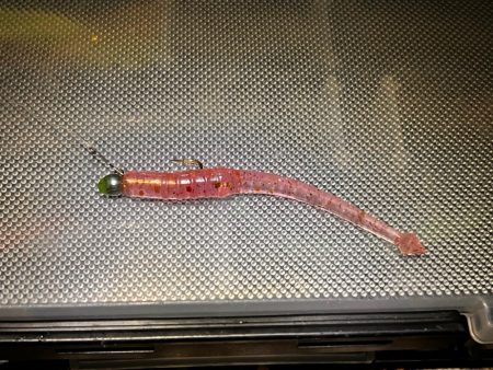 30分だけアジング