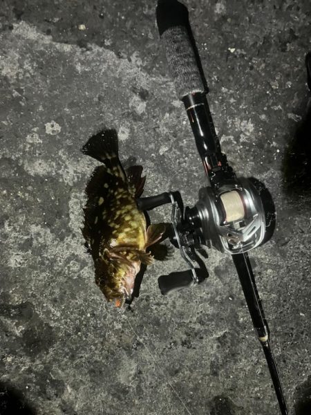 根魚ライトゲーム