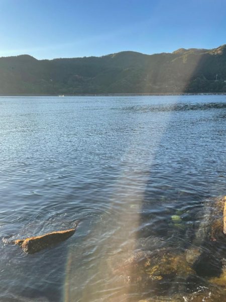 メリーツリシマス!