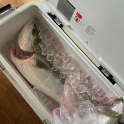 岸和田一文字 ブリ