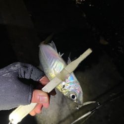 爆風アジング ぜひご参考に