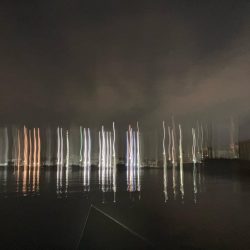 相性の悪かった丹頂鶴やっとキタ!