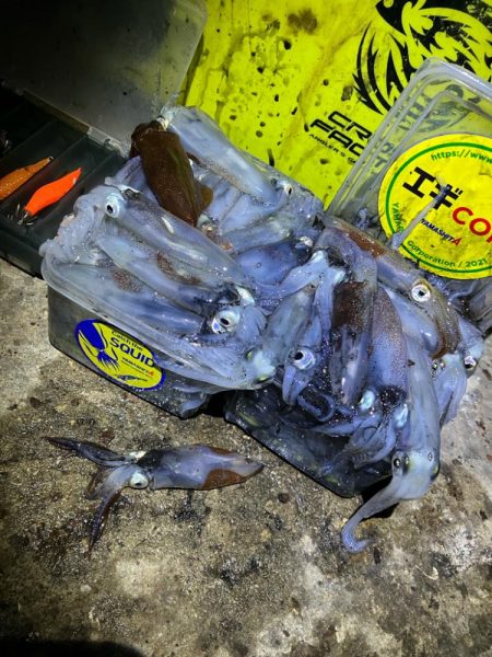 ヒイカ釣り🦑　100杯達成…