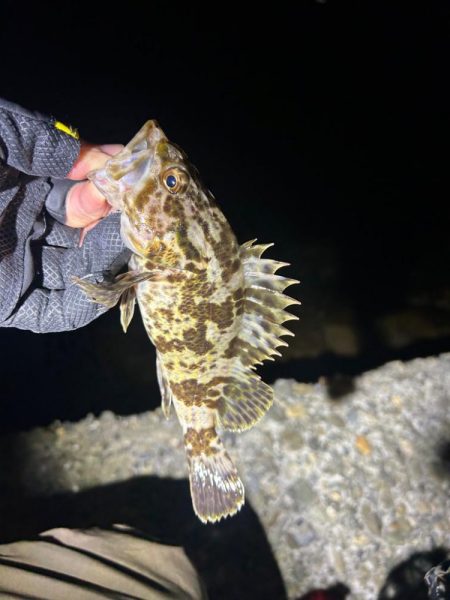 みんなでライトゲーム