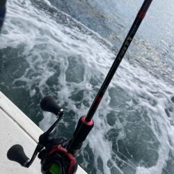 明石のカットウ釣り