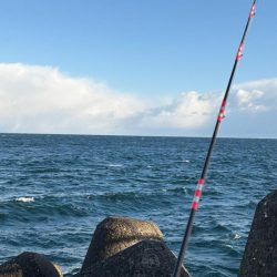 荒れた時はモンスターショット!