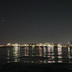 年内最後の釣行成功!