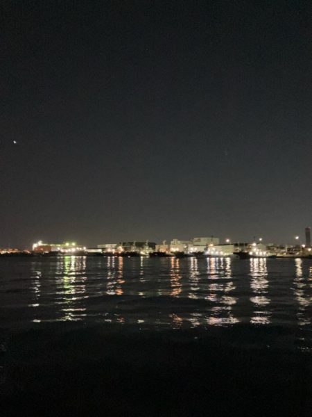 年内最後の釣行成功!