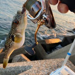 マトリックス穴ギスタ