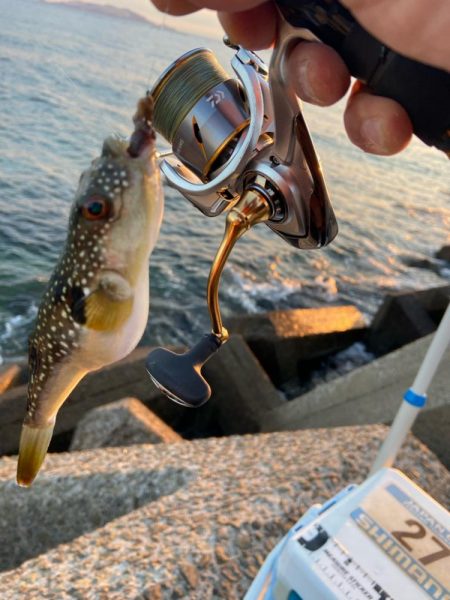 マトリックス穴ギスタ