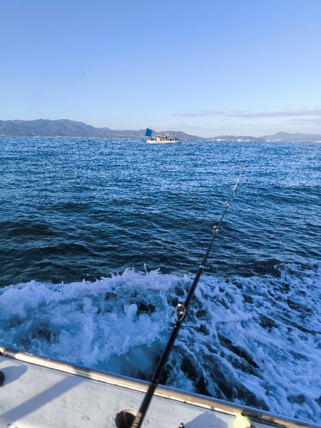 大阪湾船タチウオ！