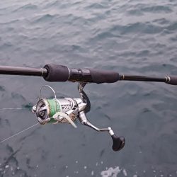 釣り納め アジング 尺有