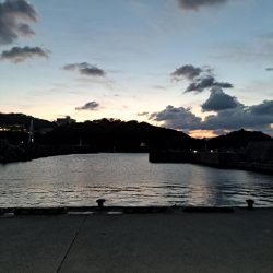 地合い以外はポツポツと