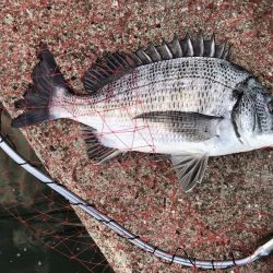 イチノ兄弟、釣果!