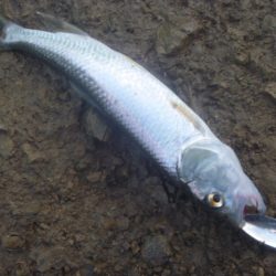 秋なのか冬なのか