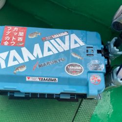 明石のカットウ釣り