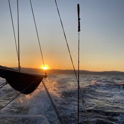 大阪湾カットウ