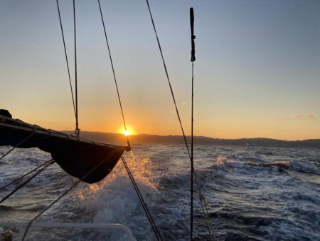 大阪湾カットウ