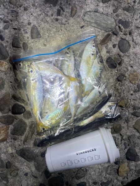 アジンガー✖️…