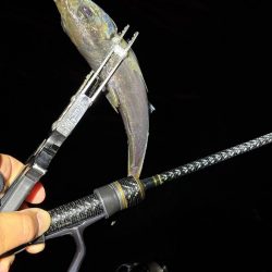 大阪市アジング