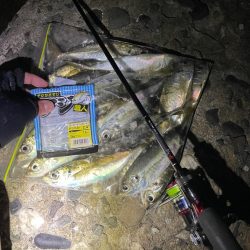 爆風アジング ぜひご参考に