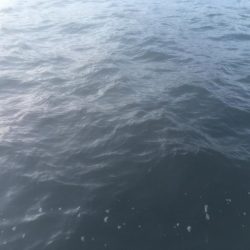 最初で最後の‥