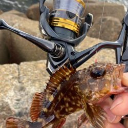 マトリックス穴ギスタ