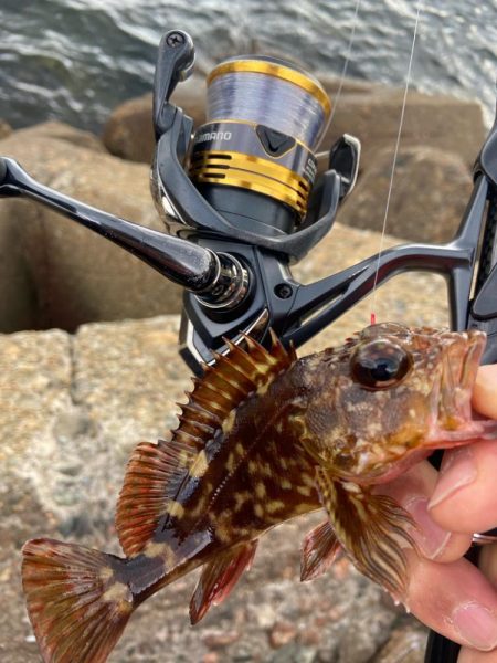 マトリックス穴ギスタ