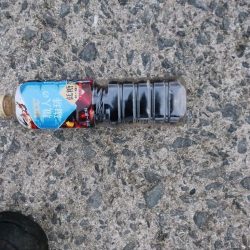 清掃活動：アジング