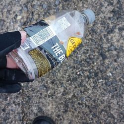 清掃活動：アジングで尺アジと４０cmサバ