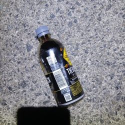 清掃活動：爆釣　アジング