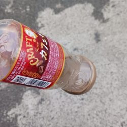 清掃活動：釣り納め　アジング　尺有