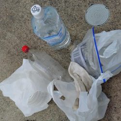 清掃活動：モンスターカワハギ！！