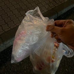 清掃活動：タチウオ釣りに再チャレンジしてき…