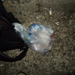 清掃活動：アジ釣り　時合は短時間