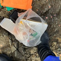 清掃活動：グレ釣り