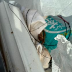 清掃活動：今年、2024年の釣り納め