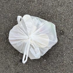 清掃活動：ガシリング楽しめました♪