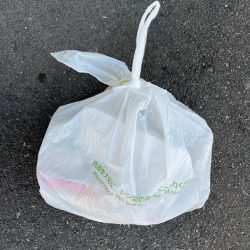 清掃活動：チヌや大アジ釣れました