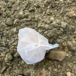 清掃活動：沖磯でグレ釣り