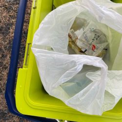 清掃活動：ティップラン楽しい