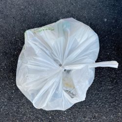 清掃活動：ブリ釣れてます