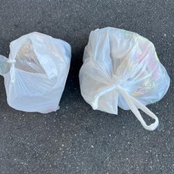 清掃活動：大アジやチヌ釣れました