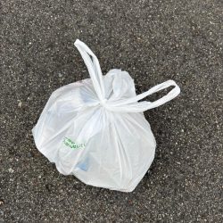 清掃活動：チヌ、中アジ釣れました