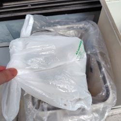 清掃活動：デカアジは？